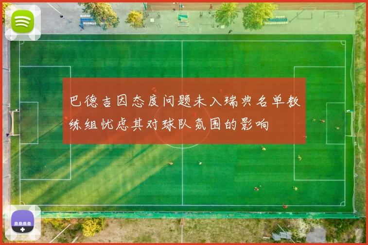 巴德吉因态度问题未入瑞典名单教练组忧虑其对球队氛围的影响